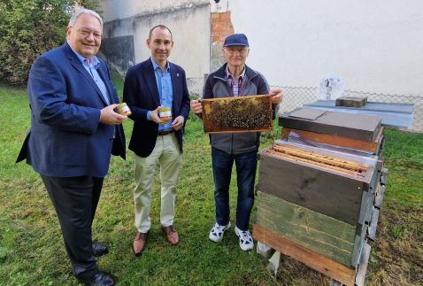Zahlreiche Aktionen gegen das Bienensterben / BBG und Stadt Böblingen machen sich stark für den Schutz der Insekten